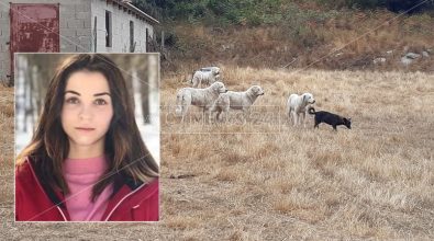 Giovane sbranata dai cani a Satriano, agli arresti domiciliari il pastore