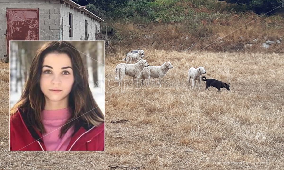 Giovane sbranata dai cani a Satriano, agli arresti domiciliari il pastore