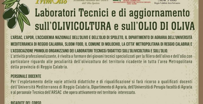 A Molochio i laboratori tecnico-didattici sull’olivicoltura