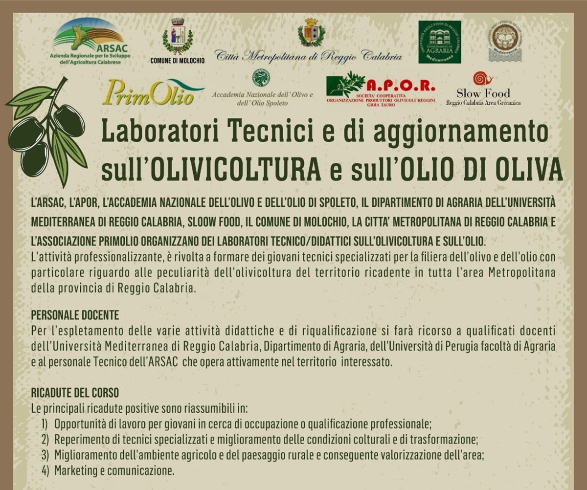A Molochio i laboratori tecnico-didattici sull’olivicoltura