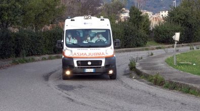 Calabria, cade da un carro allegorico: 17enne trovato morto in strada