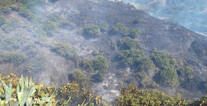 Incendi, bruciano le colline di Reggio: roghi da Arghillà a Gallina