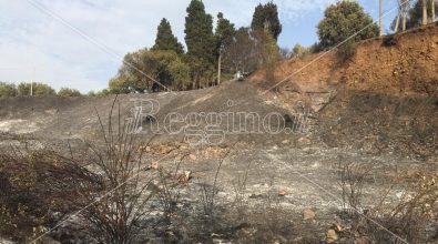 Incendi nell’area grecanica, chiesto un incontro a Occhiuto e sindaci per limitare i danni