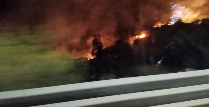Notte di fuoco a Reggio Calabria, devastate le zone collinari tra via Lia e il Porto