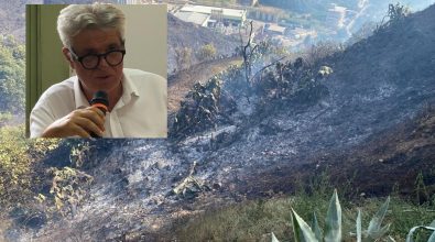 Incendi a Reggio, Autelitano: «I proprietari pubblici o privati devono fare manutenzione»