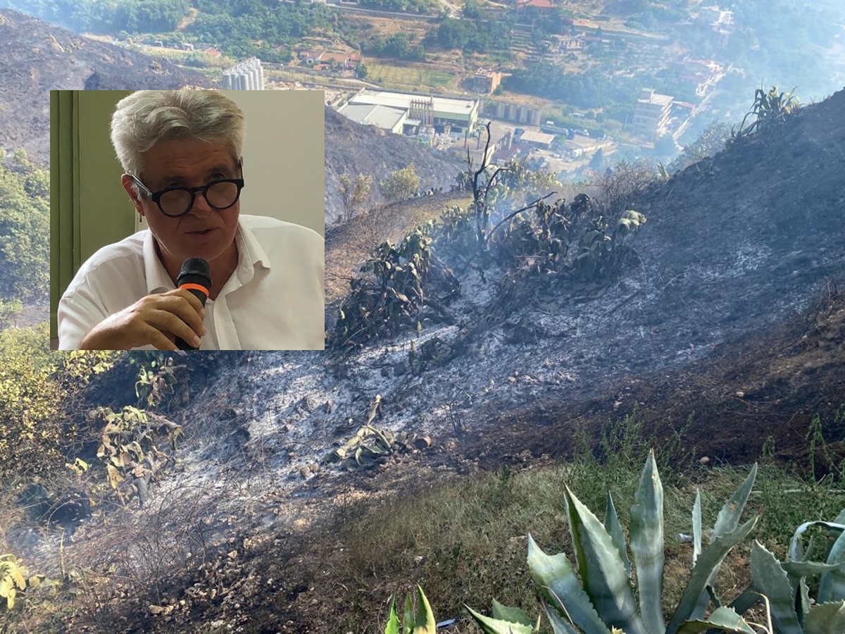 Incendi a Reggio, Autelitano: «I proprietari pubblici o privati devono fare manutenzione»