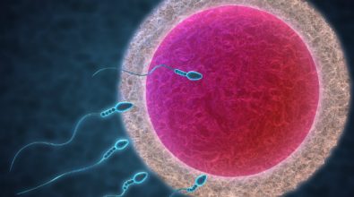 Gioia Tauro, esperti a confronto sulla preservazione della fertilità