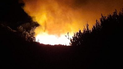In Calabria incendi diminuiti del 79%, Occhiuto: «Risultati incoraggianti»