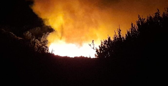 Reggio, prevenzione incendi boschivi: arriva l’ordinanza del Comune