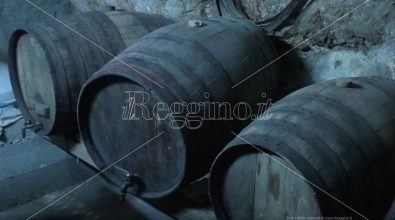 A Palizzi la notte di catoi e palmenti per rievocare la storia della lavorazione del vino – VIDEO