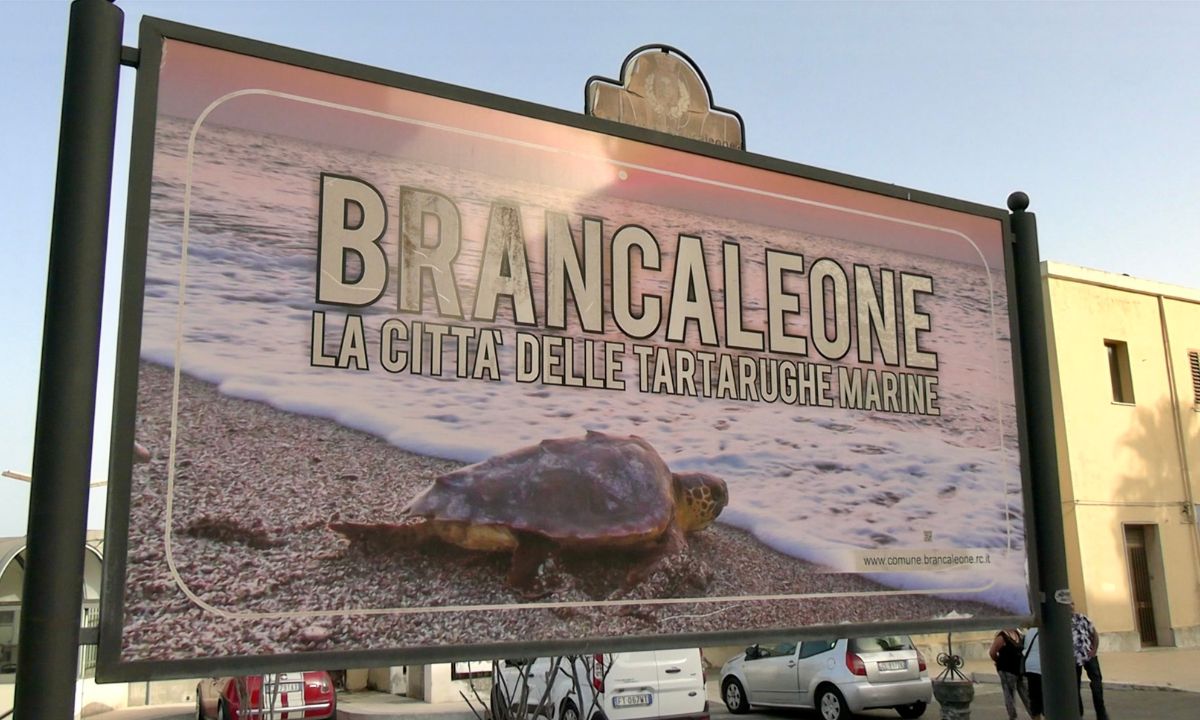 Un ospedale per tartarughe marine, a Brancaleone l’impegno dei volontari