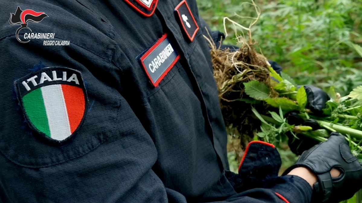 Palmi, carabinieri arrestano 58enne: nascondeva 8 kg di cannabis in un sacco nero