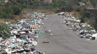 Periferie nel degrado, a Mortara e San Leo chilometri di spazzatura – FOTO e VIDEO