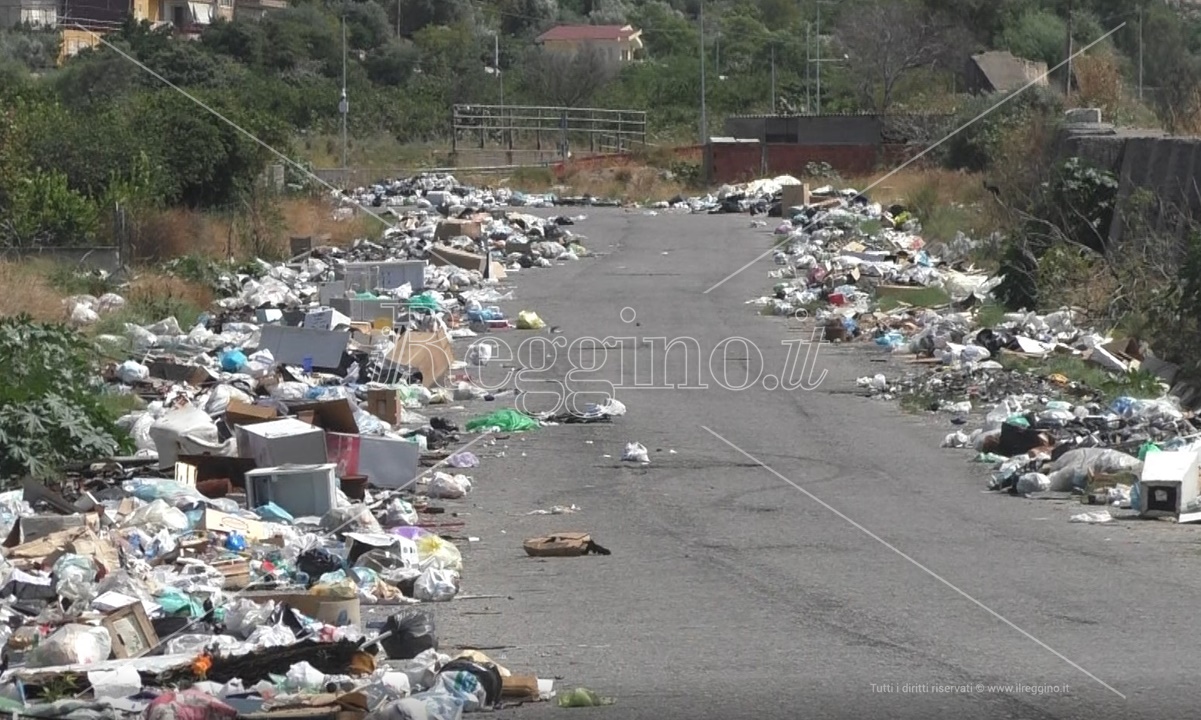 Periferie nel degrado, a Mortara e San Leo chilometri di spazzatura – FOTO e VIDEO