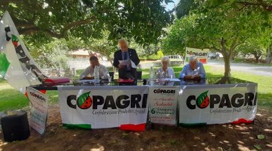 Copagri, Vincenzo Vozzo eletto presidente del consorzio dei vini reggini