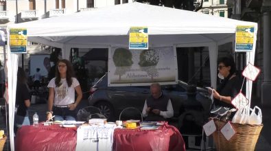 Reggio, gazebo in piazza per la maratona  Alzheimer – VIDEO