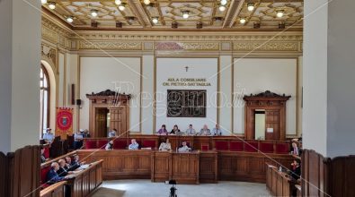 Rifiuti, Castore, Mortara, Aeroporto e Reggina: i problemi della città finiscono nell’anticamera del Consiglio