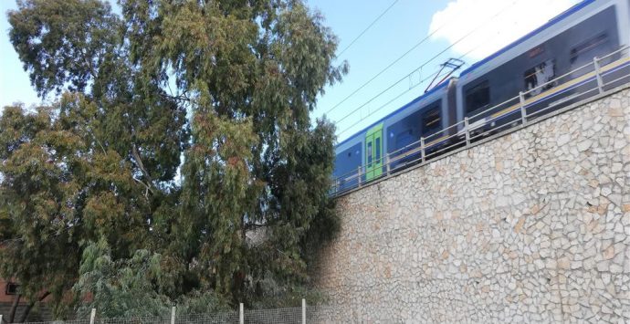 A Lazzaro pericolo “caduta alberi”, l’Ancadic: «Incombe al passaggio dei treni»