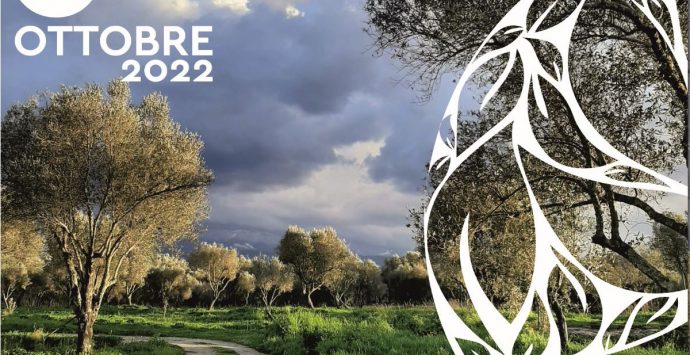 Reggio, la Metrocity aderisce alla Giornata nazionale della camminata tra gli olivi