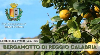 Reggio, la Metrocity torna a Milano per Artigiano in Fiera