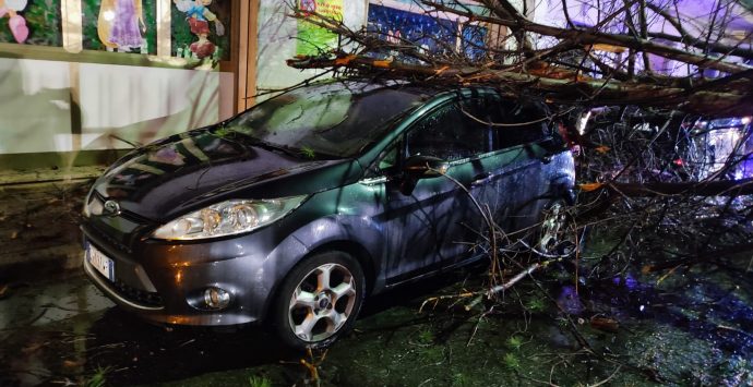 Maltempo nel reggino, disagi per il vento a Locri e Siderno: pali divelti e auto distrutte – FOTO