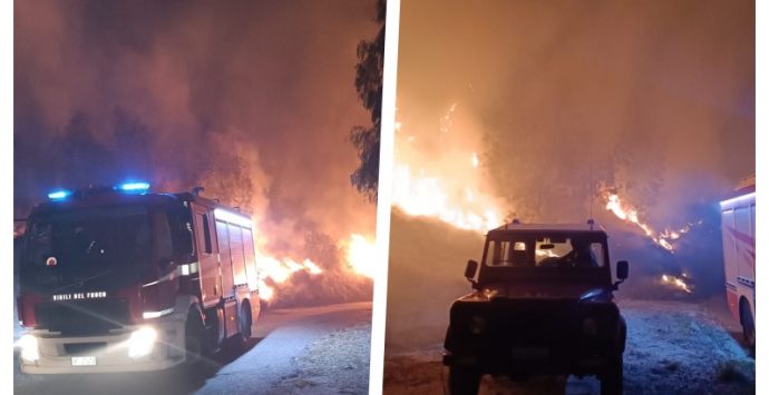 Riace, vasto incendio sulle colline: Vigili del fuoco al lavoro