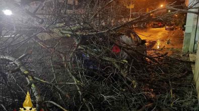 Maltempo nel reggino, disagi per il vento a Locri e Siderno: pali divelti e auto distrutte – FOTO