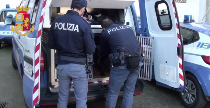 Reggio, nuovo blitz al Rione Marconi: sequestri e denunce