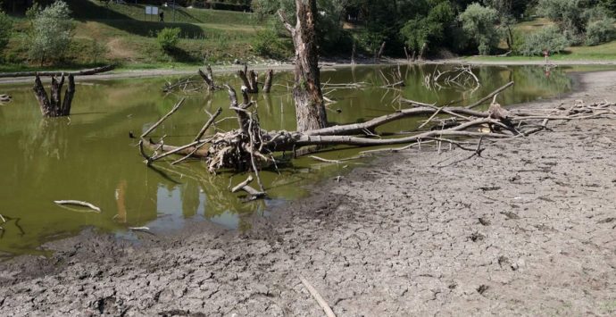 Allarme siccità, Celebre (Cgil): «Completare le dighe per contrastare la penuria d’acqua»