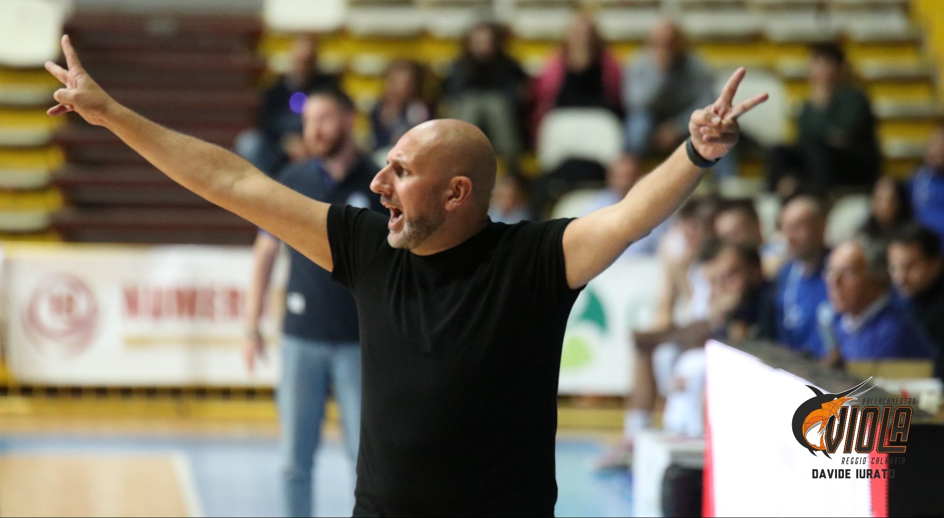 Viola Basket, la carica di coach Bolignano: «Faremo di tutto per salvarci»