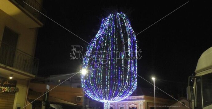 Reggio, a Pellaro l’incanto di un pino secolare illuminato accende il Natale – FOTO E VIDEO