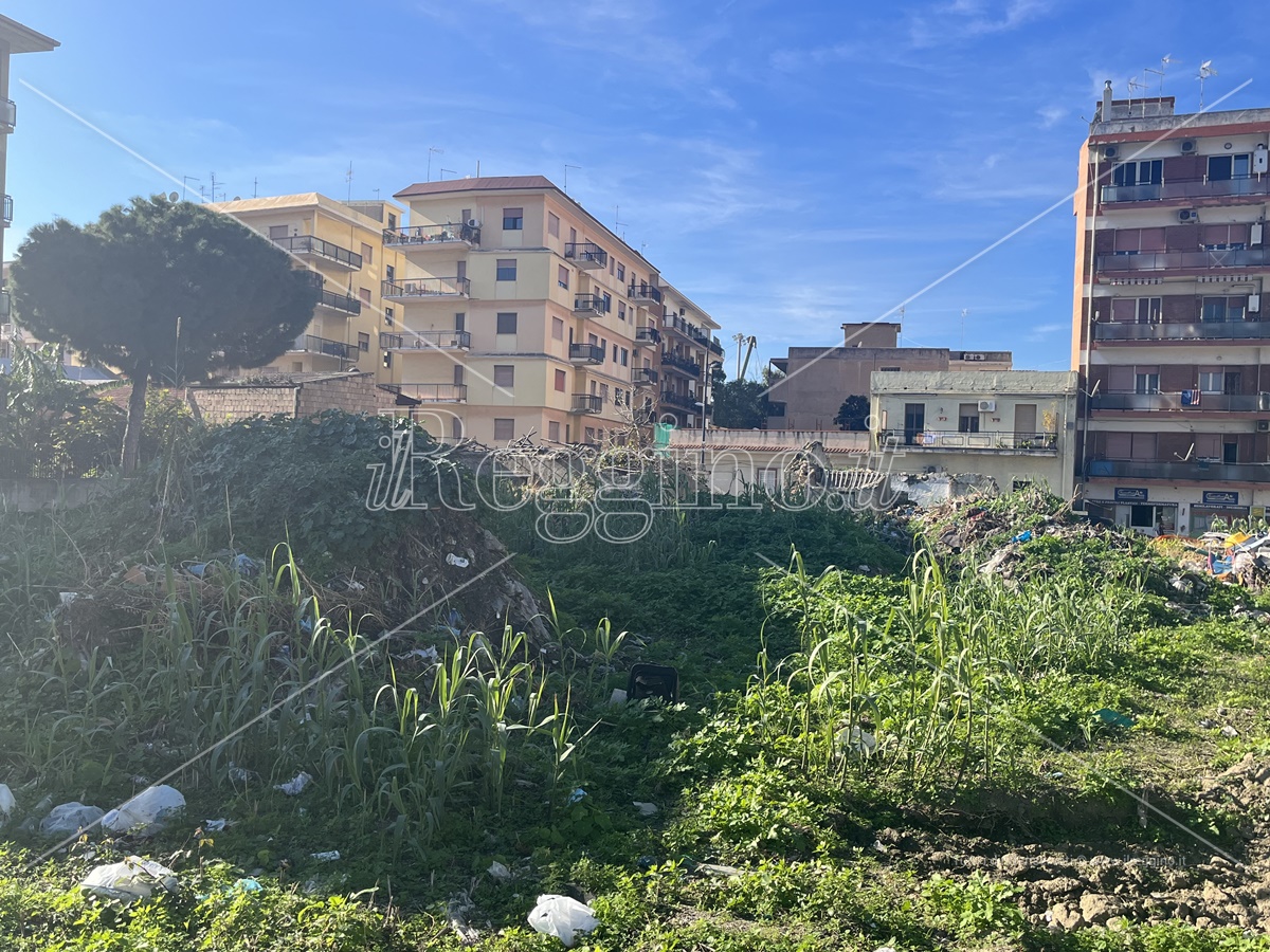 Reggio, nell’area degli orti urbani non ci sono rifiuti pericolosi – FOTO