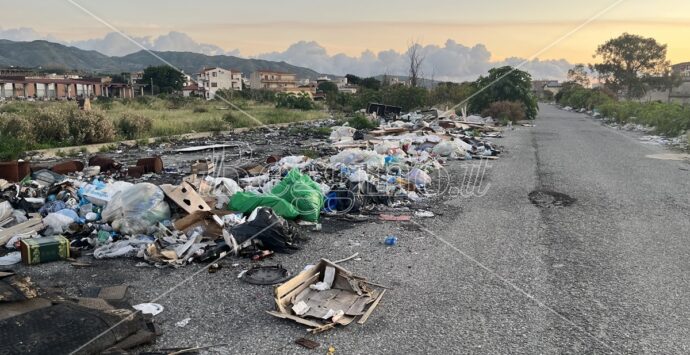 Reggio, a Mortara il viale del tramonto e dei rifiuti – FOTO