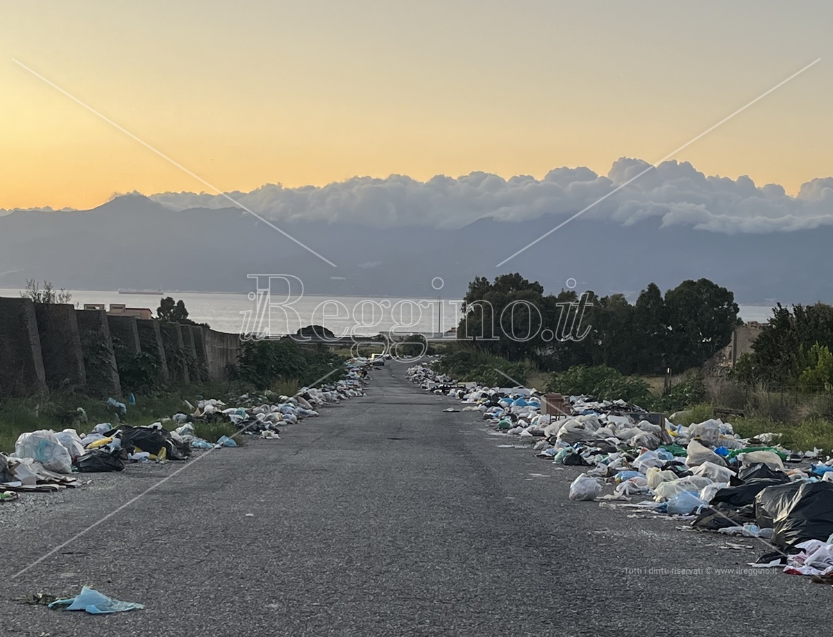 Reggio, a Mortara il viale del tramonto e dei rifiuti – FOTO