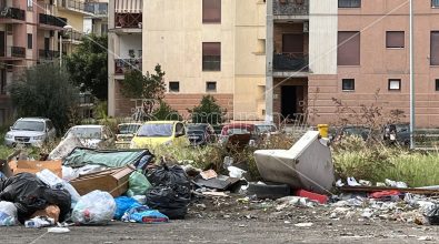 Reggio, emergenza rifiuti nel rione Marconi: ancora le discariche illegali – FOTO