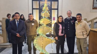 Comune di Reggio, un albero di Natale in dono dai carabinieri forestali