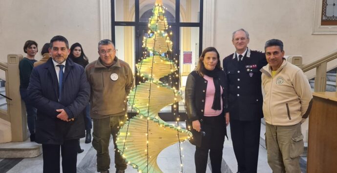Comune di Reggio, un albero di Natale in dono dai carabinieri forestali