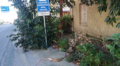 Lazzaro, Ancadic segnala alberi pericolanti sulla ss 106