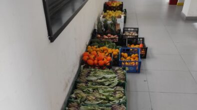 Reggio, sequestrato un quintale di frutta e verdura venduto illegalmente al mercato
