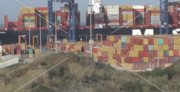 Porto di Gioia Tauro, il gruppo del Pd: «Serve un accordo tra Corap e Autorità di sistema»