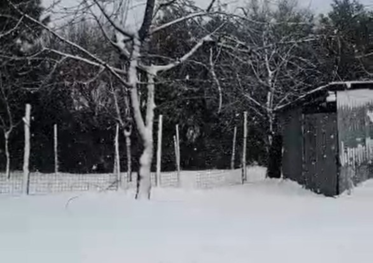 A Sinopoli l’emozione dei fiocchi di neve – VIDEO