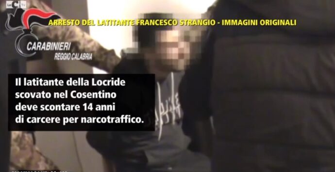 Mammasantissima, l’arresto del broker della droga Francesco Strangio – VIDEO