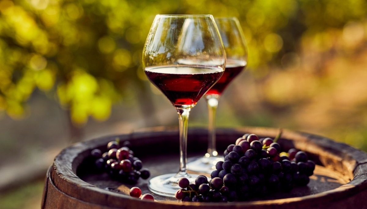 Regione, Gallo: «Oltre 1 mln e 300mila euro per incentivare la produzione di vino»