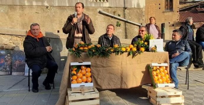 Festa dell’Arancia Belladonna, Giordano: «Presidio slow food obiettivo raggiunto»