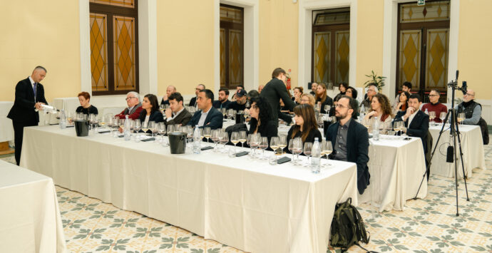 Il Consorzio Terre di Reggio Calabria rilancia le eccellenze vitivinicole del territorio metropolitano