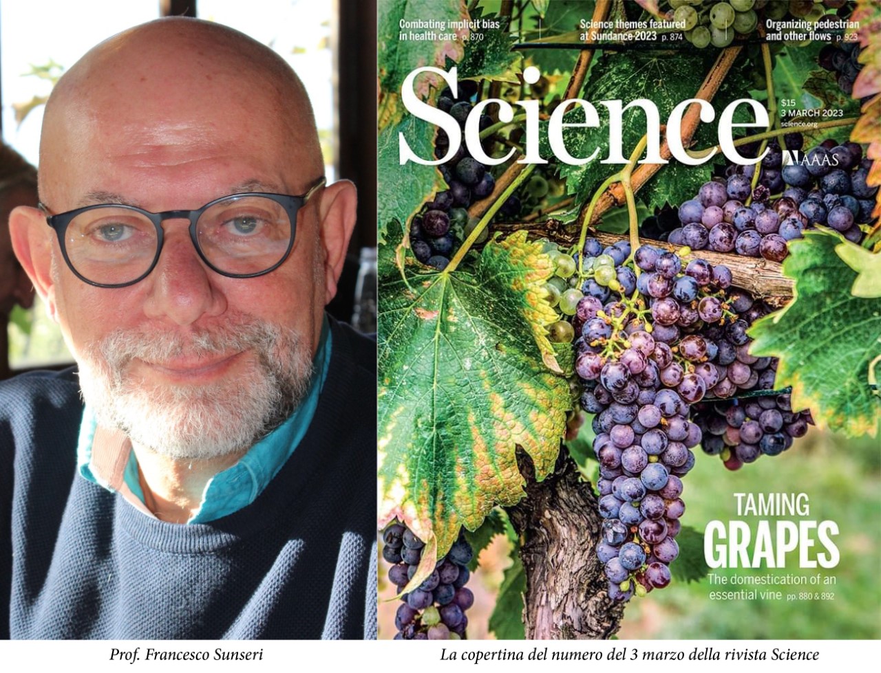 Università “Mediterranea”, focus sulla nascita del vino nelle ultime ricerche scientifiche