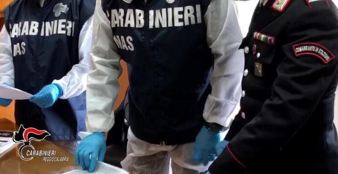 Reggio, controlli alle mense scolastiche: 42 ispezioni dei carabinieri del nas 