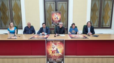“Alis Gran Galà” a Reggio, lo show de “Le Cirque Top Performers” sbarca al PalaPentimele – VIDEO