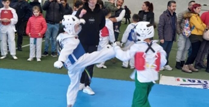 Taekwondo, oggi a Reggio test match per i piccoli atleti