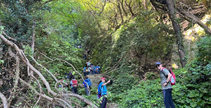 Scilla, 200 escursionisti alla scoperta del sentiero dell’Aquila – FOTOGALLERY